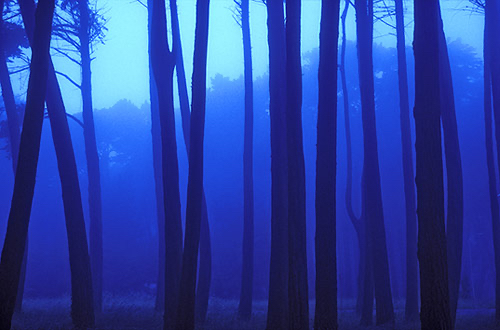 Presidio_1