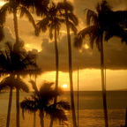 Hawaii_1